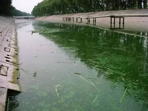 城市黑臭河道如何治理？河道黑臭水體治理思路(圖1)