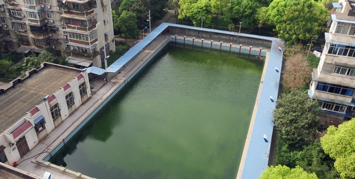 游泳池水變綠是什么原因？游泳池水處理方法