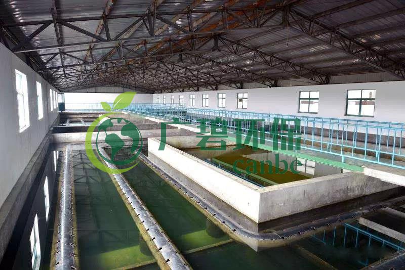 什么是制糖廢水？制糖廢水處理技術(shù)(圖1)