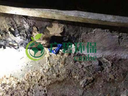 廣州旺旺食品廢水直排，永和河大量魚類死亡(圖4)