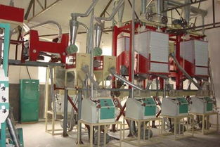 【面粉機組、面粉機成套設(shè)備專業(yè)的生產(chǎn)廠家】