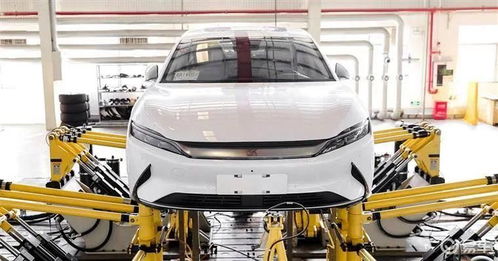 新能車每日快訊 比亞迪與特斯拉動(dòng)態(tài)更新，10月19日二手車交易市場(chǎng)經(jīng)營(yíng)觀察